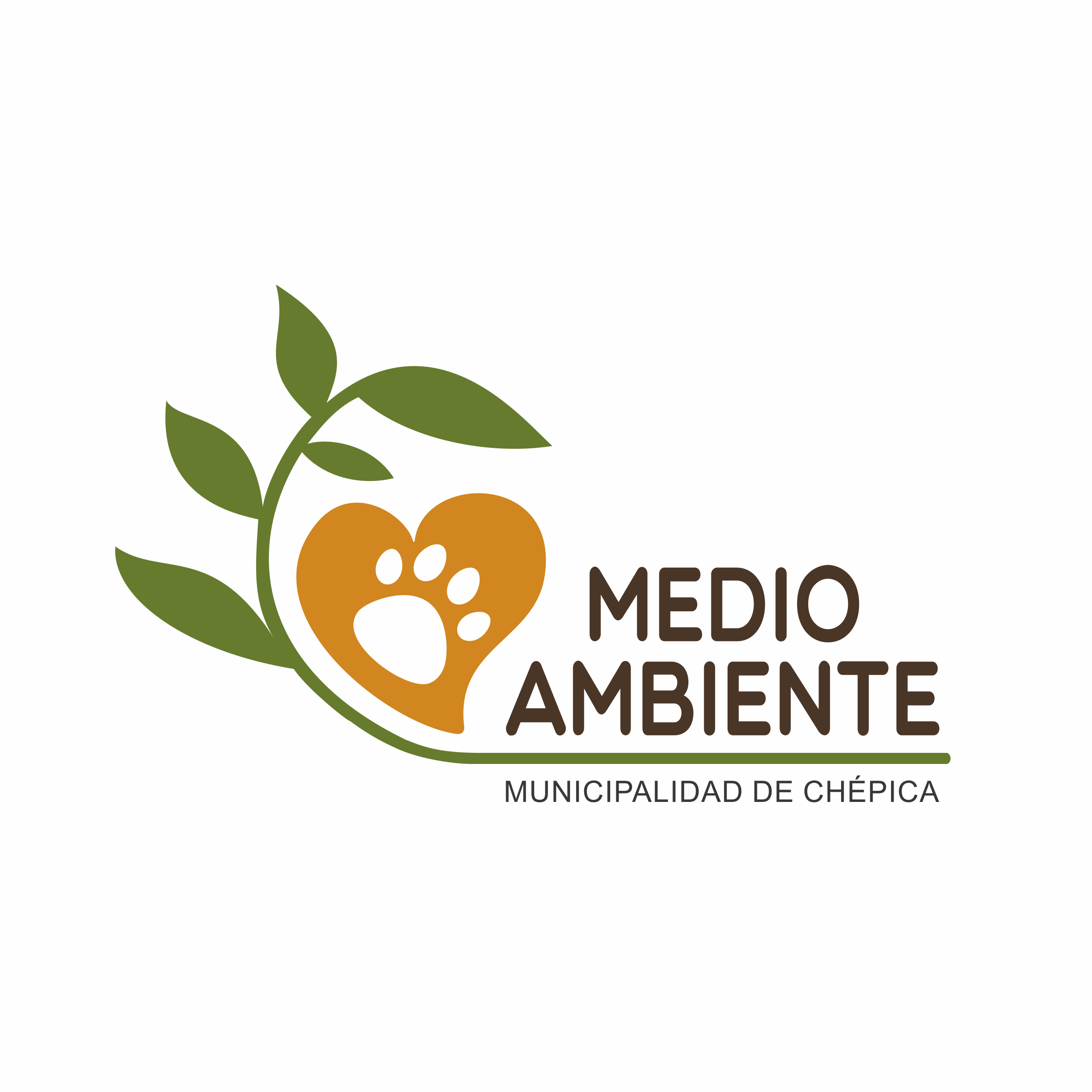 Medio Ambiente 